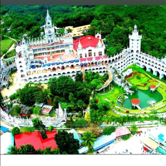 Meet your Posher, Rose - Picture 5 of 8